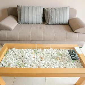 Apartment Paradiso, Vir